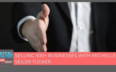 Selling 500+ Businesses With Michelle Seiler Tucker