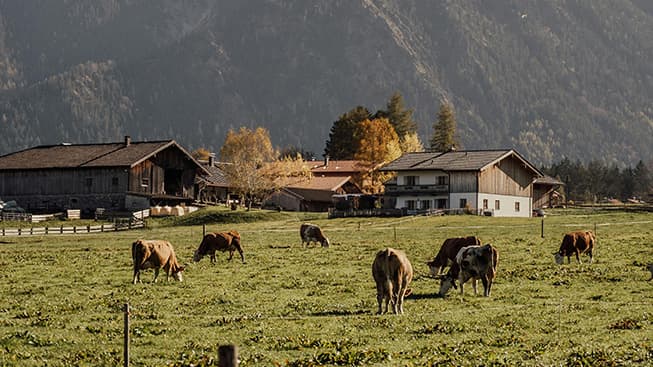 capital gains on selling farmland