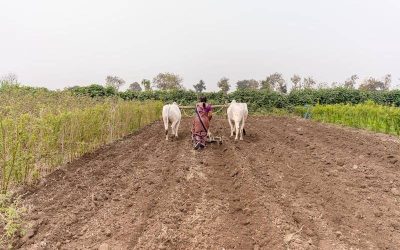 Can You Really Avoid Capital Gains Tax on Farmland Sales? Can You Really Avoid Capital Gains Tax on Farmland Sales?
