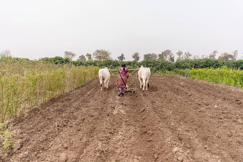 Can You Really Avoid Capital Gains Tax on Farmland Sales?