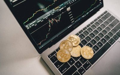 Navigating the Varied Crypto Tax Landscapes