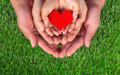 What’s the Difference Between a Deferred Sales Trust and a Charitable Remainder Trust?