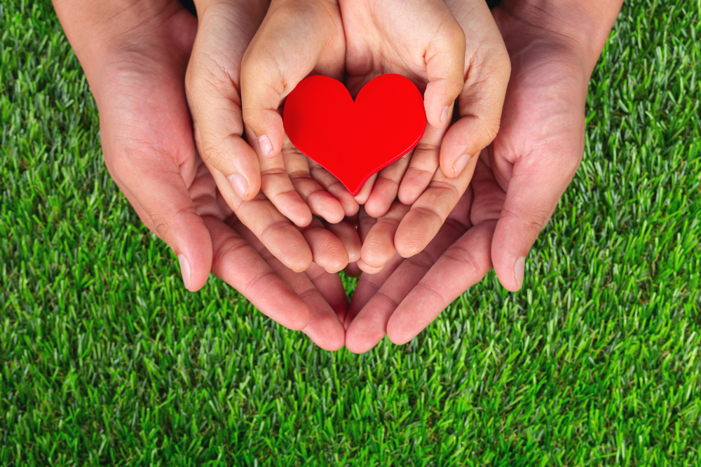 What’s the Difference Between a Deferred Sales Trust and a Charitable Remainder Trust?